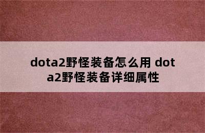 dota2野怪装备怎么用 dota2野怪装备详细属性